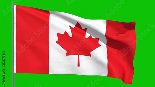 Canada Flag Waving on Green Screen Background Seamless Loop 4K Chroma Key Animation
