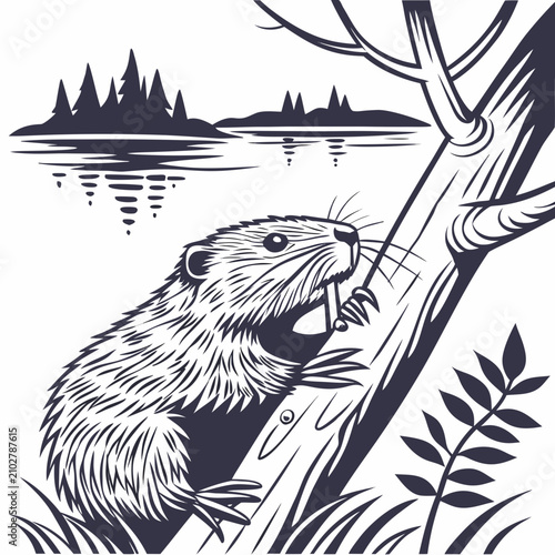 Fotografie A beaver gnawing on a tree trunk near a river with a forest background, monochro