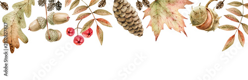 Decorative autumn border with leaves, acorns, pine cones, and berries. Botanical border design for a Thanksgiving greeting card. Hand-drawn watercolor illustration