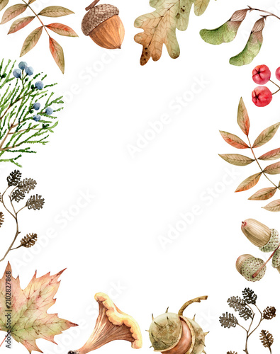 Autumn frame with leaves, berries, acorns, and mushrooms. Autumn botanical frame for invitation card design. Hand-drawn watercolor illustration.
