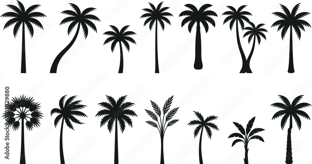 Fototapeta premium Tropical Palm Tree Silhouette Vector Collection