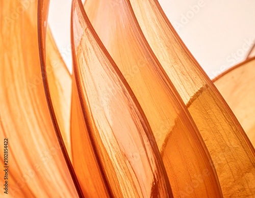 Translucent Petal Layers with Vein Texture, Amber Orange Botanical Macro Backlit