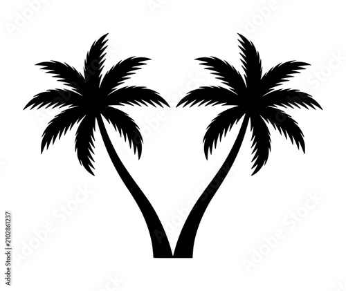 Symmetric black silhouette of two crossed tropical palm trees with silhouette
