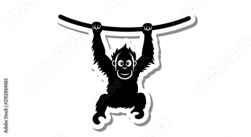 Photos Monkey Hanging From Bar.