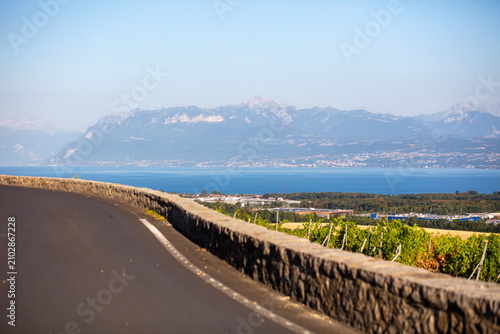 Vászonkép Vue du lac Léman et de la montagne du Grammont depuis une route secondaire