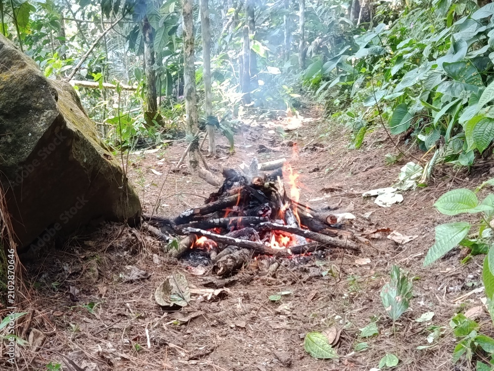 Fototapeta premium Bonfire Burning in a Mountain Forest During Daytime Surrounded by Lush Nature