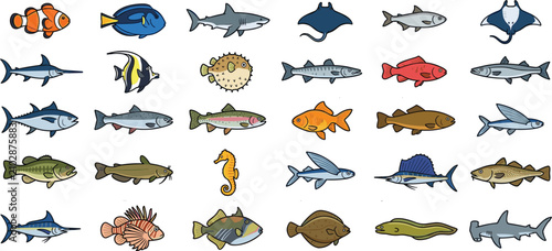 Photography Comprehensive collection of various fish species, featuring tropical, marine, an