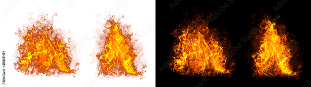 Fototapeta premium Fire flame realistic burning campfire blaze for design use in PNG, Transparent and Black Background Versions for creative work