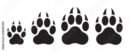 Tableau sur toile Set of wild animal predator paw prints with claws isolated on dark transparent background vectors