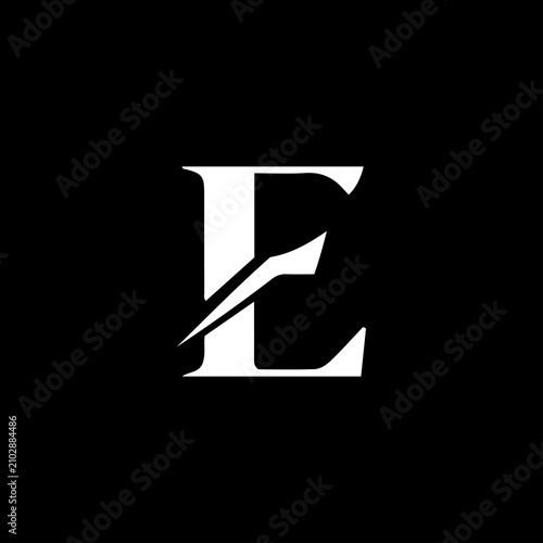 E Letter Logo Icon Vector Design