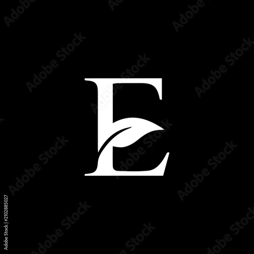 E Letter Logo Icon Vector Design