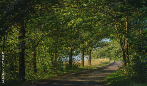 Leuchtende Morgensonne am Wanderweg an Feldern vorbei mit Schatten