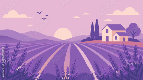 Lavender rows leading toward distant rolling hills at pastel dawn, charming cottage, cypress trees and pink sky in tranquil vector landscape for wellness branding, travel posters and floral decor