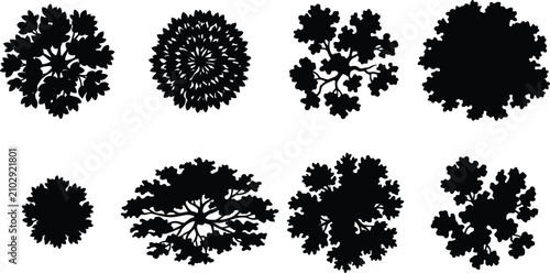 Konstfotografi Top View Tree Canopy Silhouette Collection Featuring Diverse Forest Crowns for L