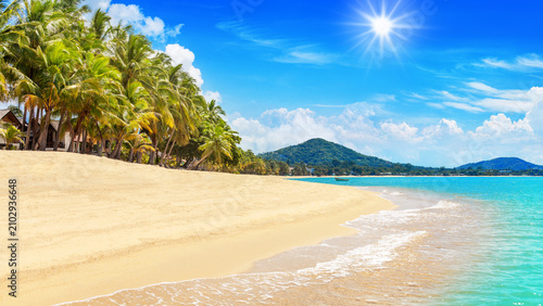 Sea beach landscape, paradise tropical island panorama, turquoise ocean water wave, green coconut palm tree leaves, sand, blue sunny sky cloud, hot day, exotic nature, summer holiday, vacation, travel