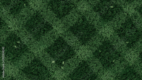 Принти на полотні Green grass field texture. Lawn surface background