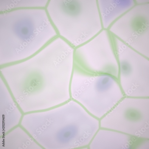 Foto Microscopic view of cells with nuclei