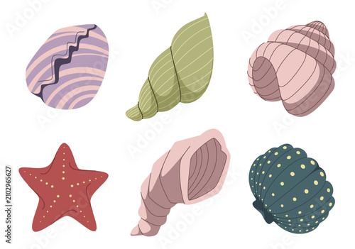 Cuadro en lienzo Sea shells and starfish