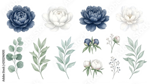 Watercolor illustration of pink peony flowers and green foliage on white background
