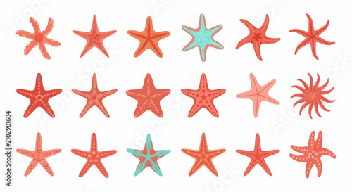 Collection of Colorful Starfish Illustrations on White Background