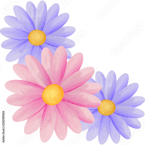 Watercolor Illustration of pink and purple daisy