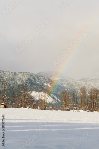 Bild auf Leinwand Winter Rainbow Descending Into Snow-Frosted Foothills, Mount Adams