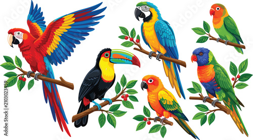 Photos Vibrant Tropical Birds Vector Collection Featuring Macaws Toucan Conure Lovebird