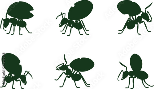 Fotografía Dark green ant insect silhouettes carrying leaf fragments and working diligently