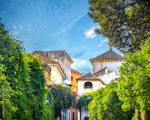 Charming narrow streets of the old town nof Seville (Sevilla), Andalusia (Andalucia), Spain