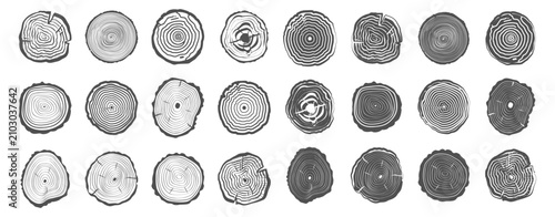 Obraz na plátně Tree ring icon set on transparent background