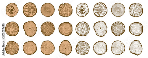 фотографія Collection of detailed tree stump cross sections with concentric wood ring patterns