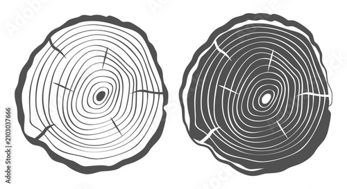 фотографія Tree ring icon set on transparent background