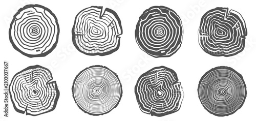 Fotografía Tree ring icon set on transparent background