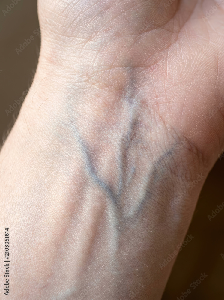 Fototapeta premium Blue vein network on wrist, showcasing intricate patterns and textures