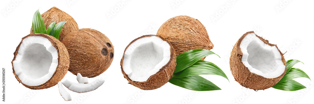 Obraz premium Set of coconut compositions with leaves, isolated on transparent cutout background