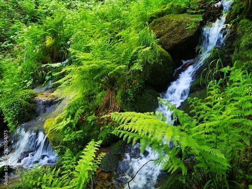 Scenic waterfall near village Topli Do on Stara Planina, cascading down the wet rocks surrounded by green vegetation. Beautiful mountain creek with green moss in the forest on the road to famous Pilj 