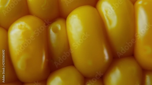 Macro Close Up of Sweet Corn Kernels with Slow Horizontal Camera Slide.