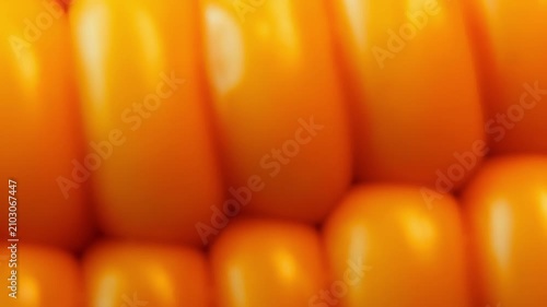 Macro View of Bright Yellow Corn Kernels with Smooth Horizontal Camera Movement.