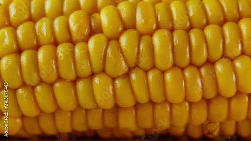 Yellow Corn Cob Macro Texture with Smooth Camera Movement.