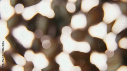 Soft Coffee Bokeh Revealing Roasted Coffee Beans in Sharp Macro Focus.