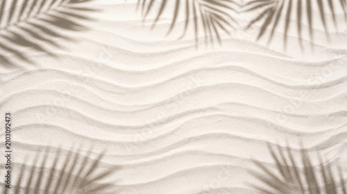 White sand beach background with tropical palm leaf shadows 3