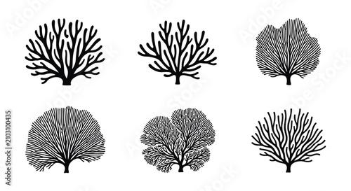 Collection of black sea coral silhouettes featuring various branch and fan shapes isolated on a clean white background.