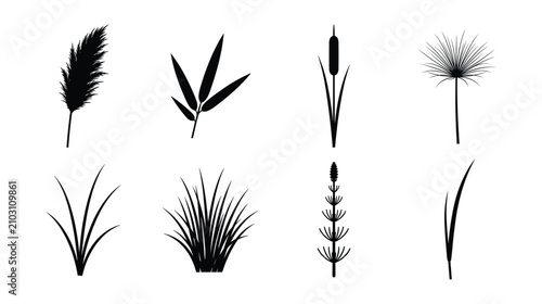 Wild Grass Reed Silhouette Vector Icons Set Botanical Swamp Plant Graphic Elements