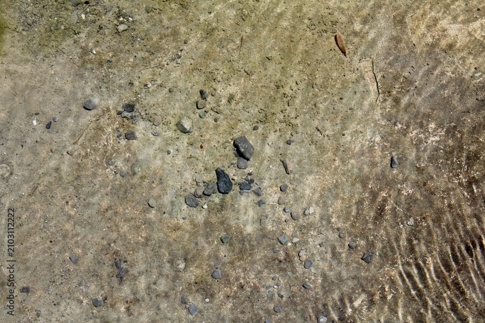 Fototapeta premium water pond and stone