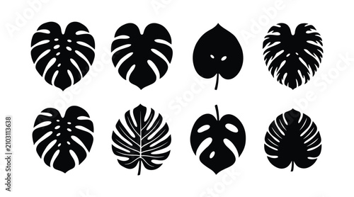 Monstera Leaf Silhouette Vector Icons Set Tropical Swiss Cheese Plant Foliage Graphics