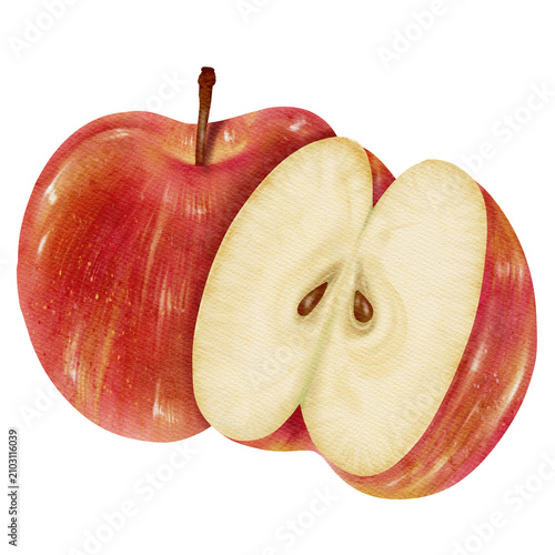 Watercolor Fresh Red Apple and Cut Half on Transparent Background