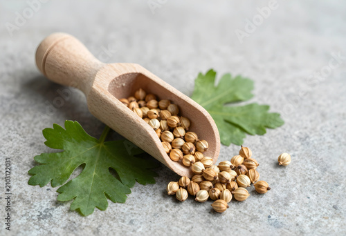 Dried coriander seeds spill...