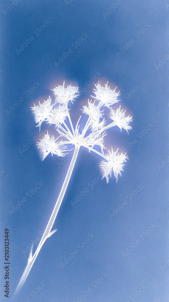 Obraz premium Minimalist floral design in blue tones, perfect for mobile wallpaper.