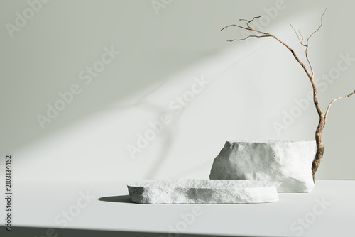 minimalist product display stone podiums with dry branch 3d rendering