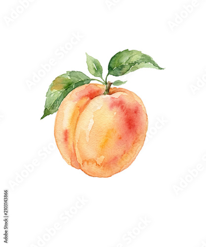 Peach watercolor on a transparent background